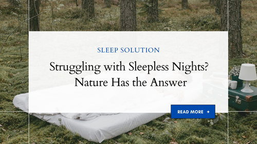 Sleep Better, Live Better: Embrace Restful Nights From Today