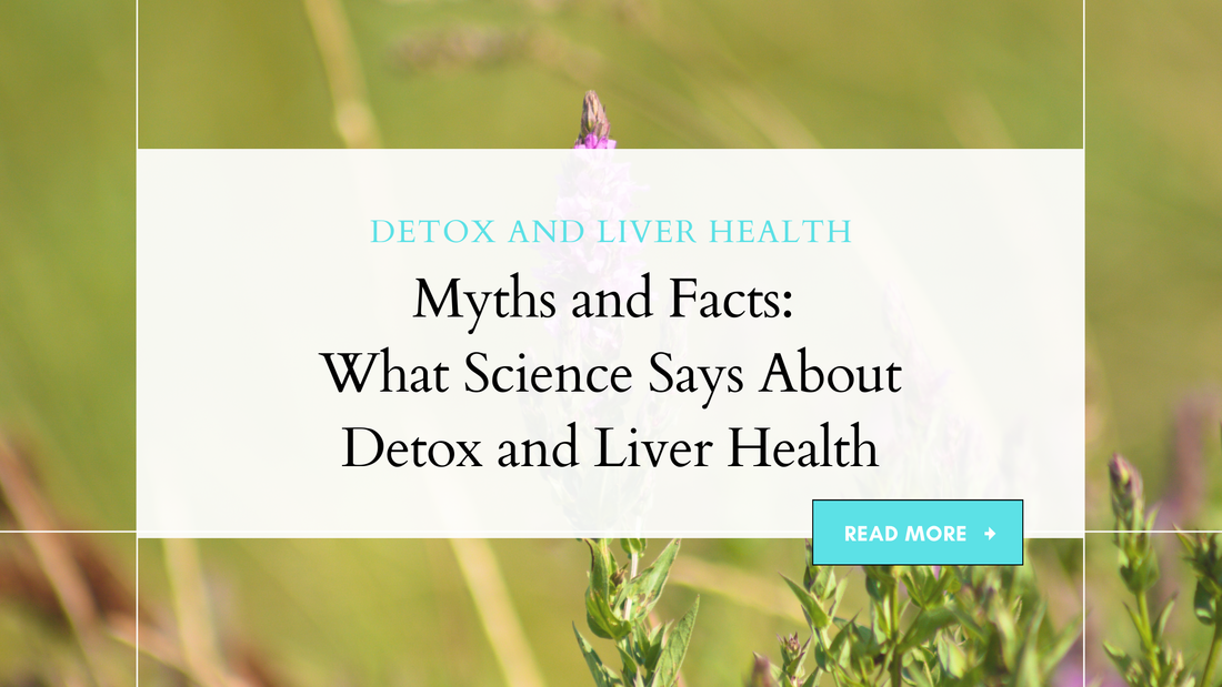 Myths and Facts: What Science Says About Detox and Liver Health