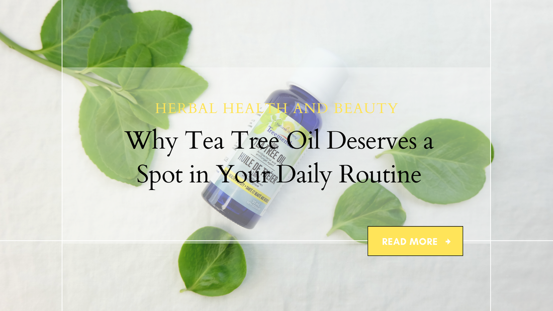 Why Tea Tree Oil Deserves a Spot in Your Daily Routine